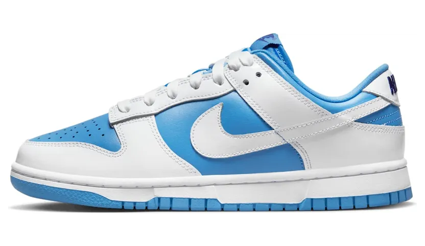 Nike Dunk Low DJ9955-101