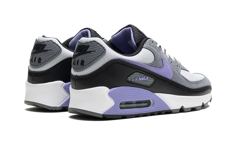 Nike Air Max 90 “Light Thistle” (DM0029-014)