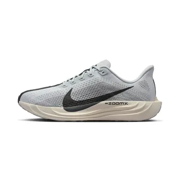 Nike Pegasus Pure Platinum/Wolf Grey/Sail/Anthracite (FQ7262-017)