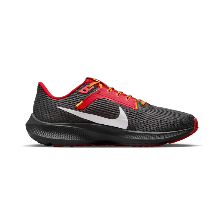 nike-air-pegasus DZ5985-001