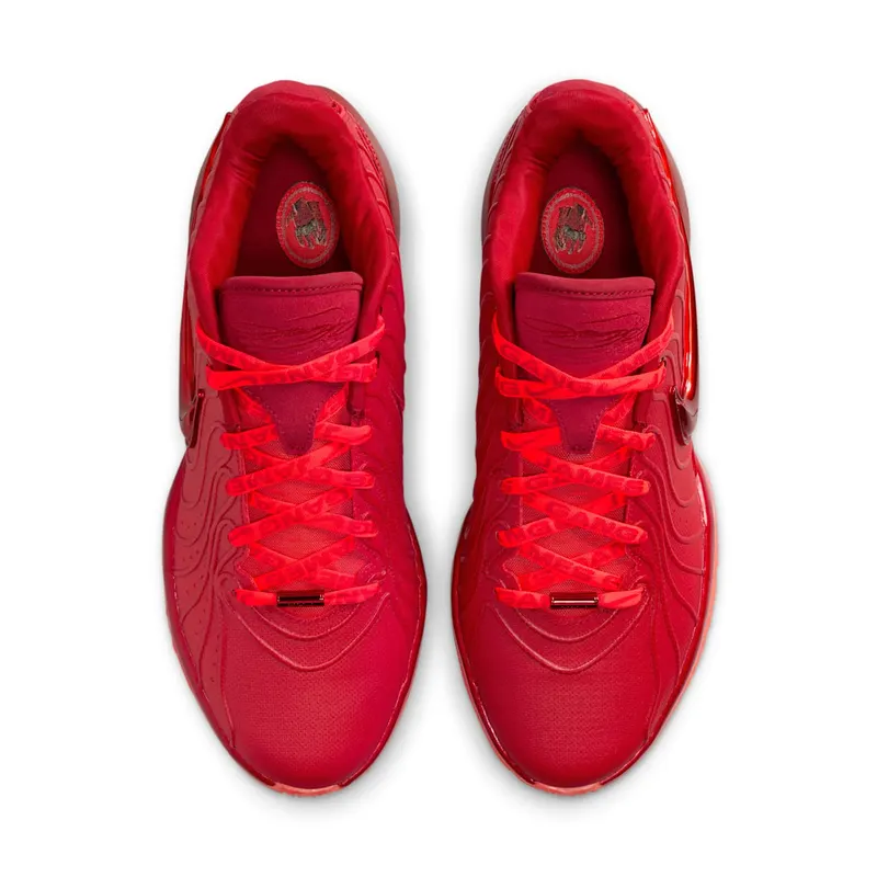 Nike LeBron 21 “James Gang” (HF5951-600)