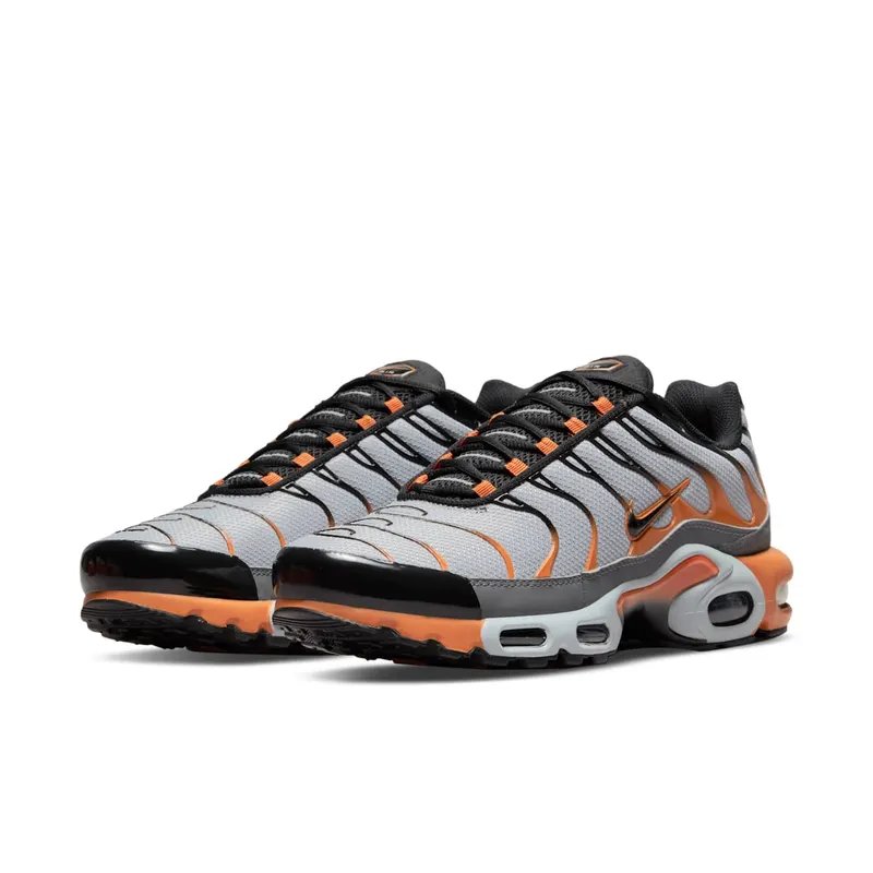 Nike Air Max Plus Grey (DM0032-001)