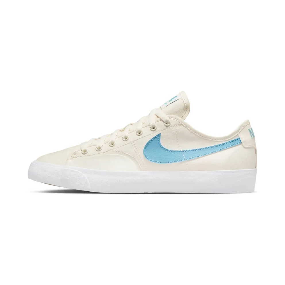 Nike SB BLZR Court Skateboardschuh – Grau Grau (CV1658-004)