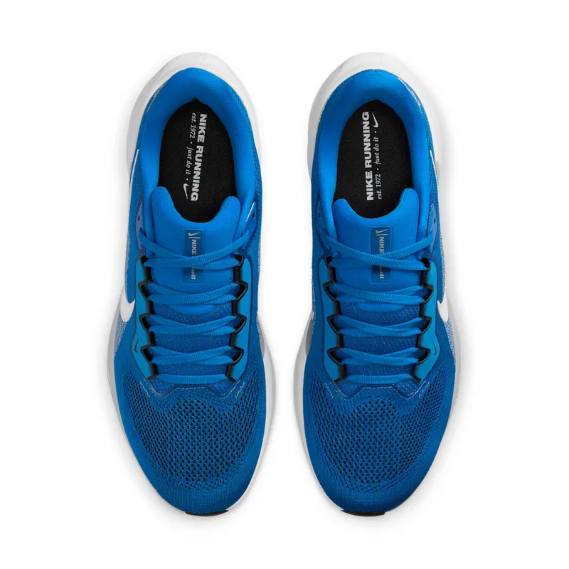 Nike Air Zoom Pegasus 41 Detroit Lions (2025) (IB3206-400)