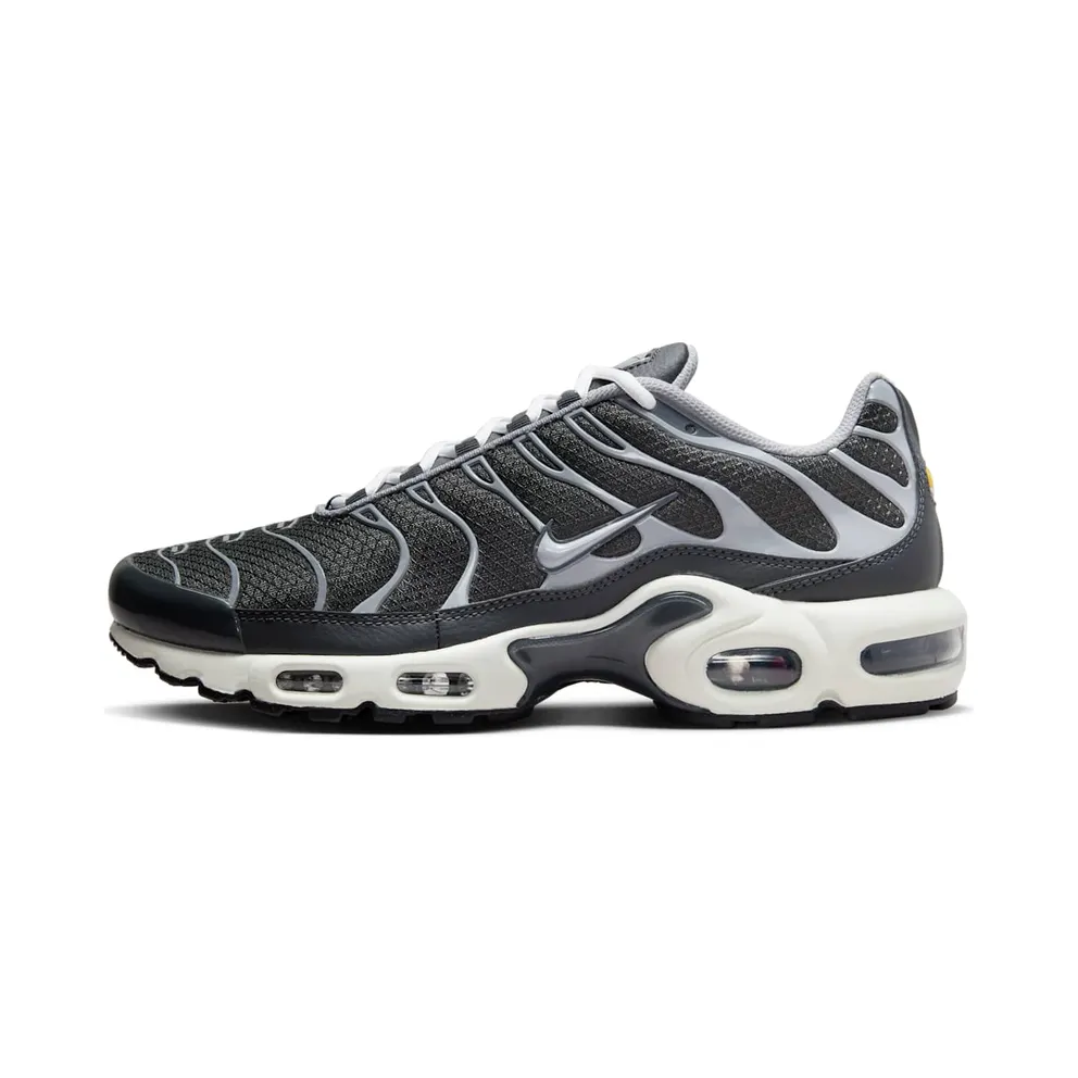 Nike Air Max Plus Greyscale Cool Grey (DZ2655-001)