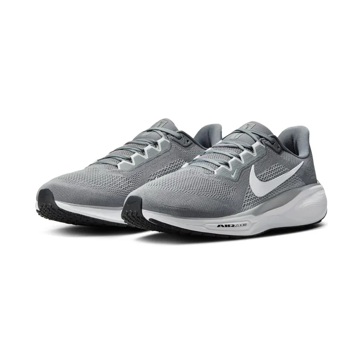 nike-air-pegasus FD2722-009