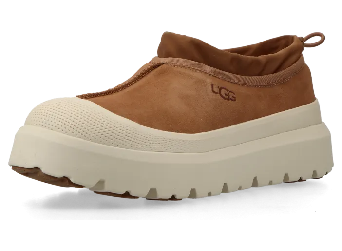 ugg-tasman 1144096-CWTC