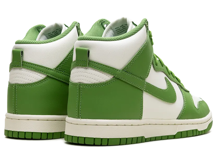 nike-dunk DD1869-300