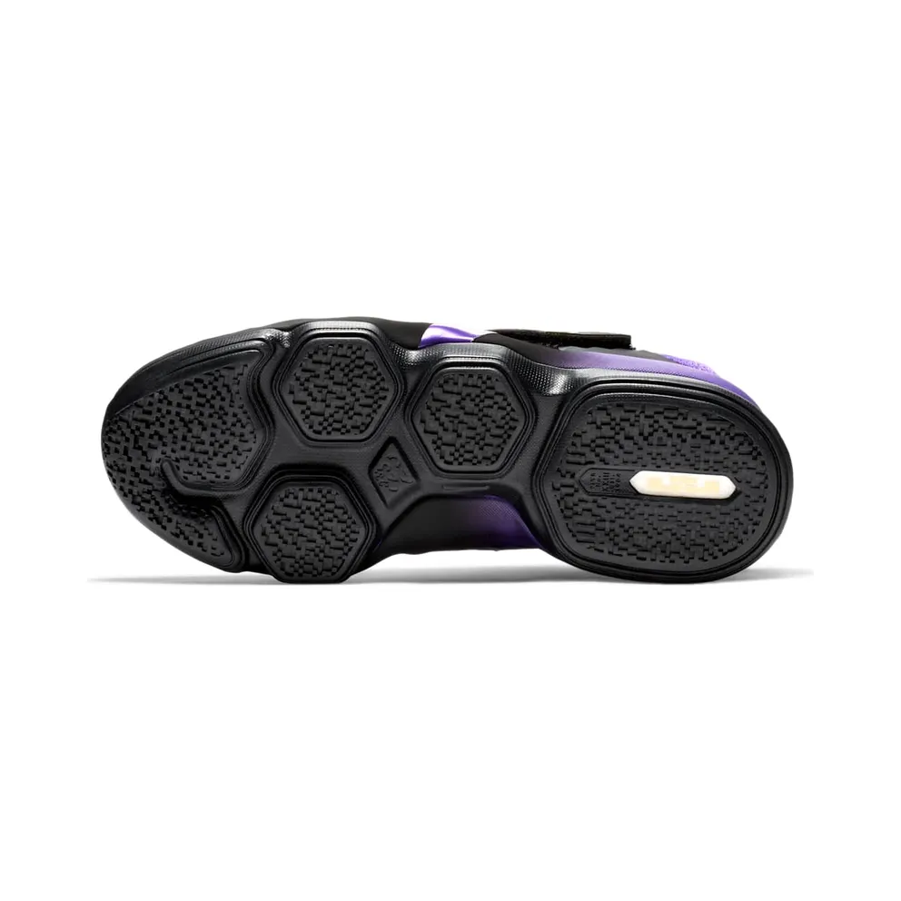 Nike LeBron 14 The Undertaker (GS) Hyper Grape/Metallic Gold-Black (AA3258-590)