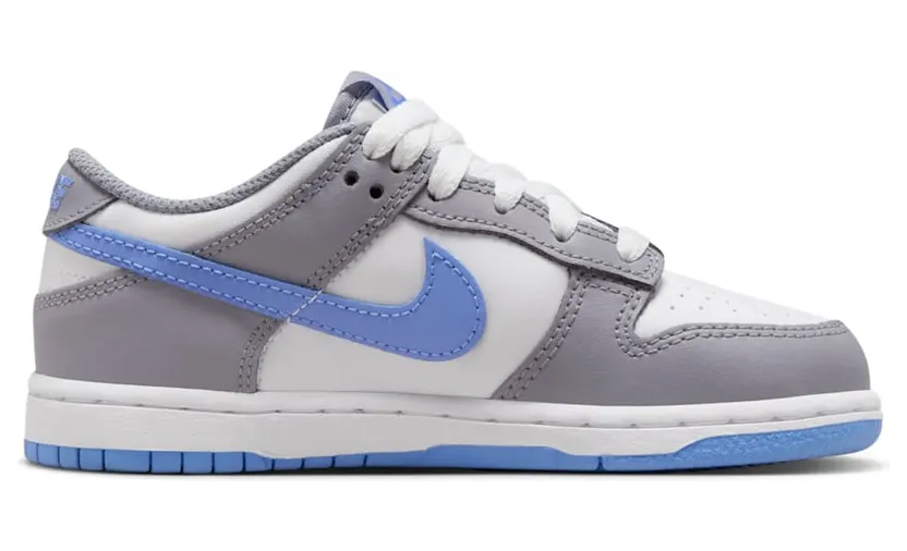 nike-dunk FB9108-121