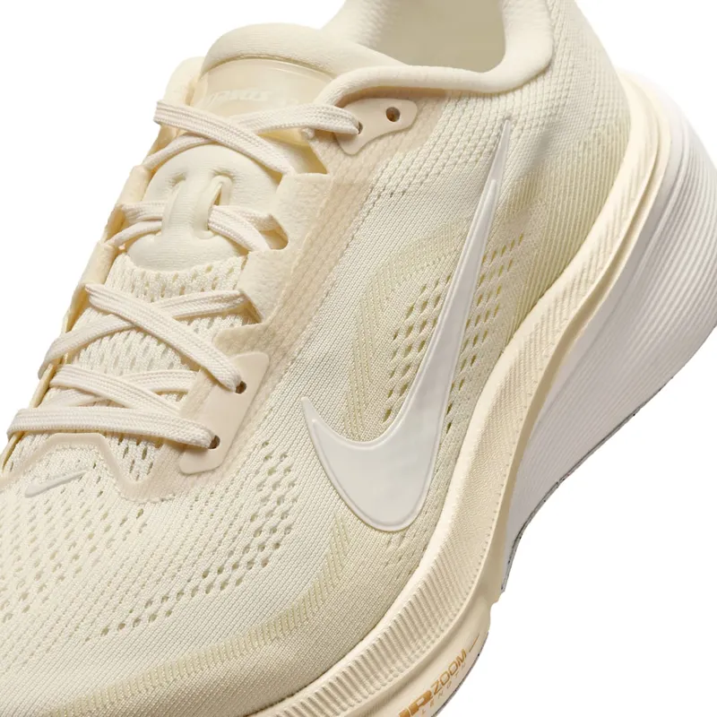 nike-air-pegasus IB1881-106