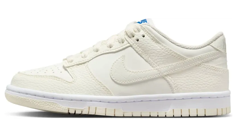 nike-dunk FV7472-100