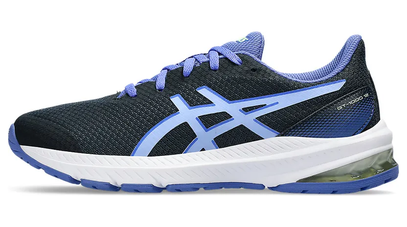 asics-gt-1000 1014A296.406