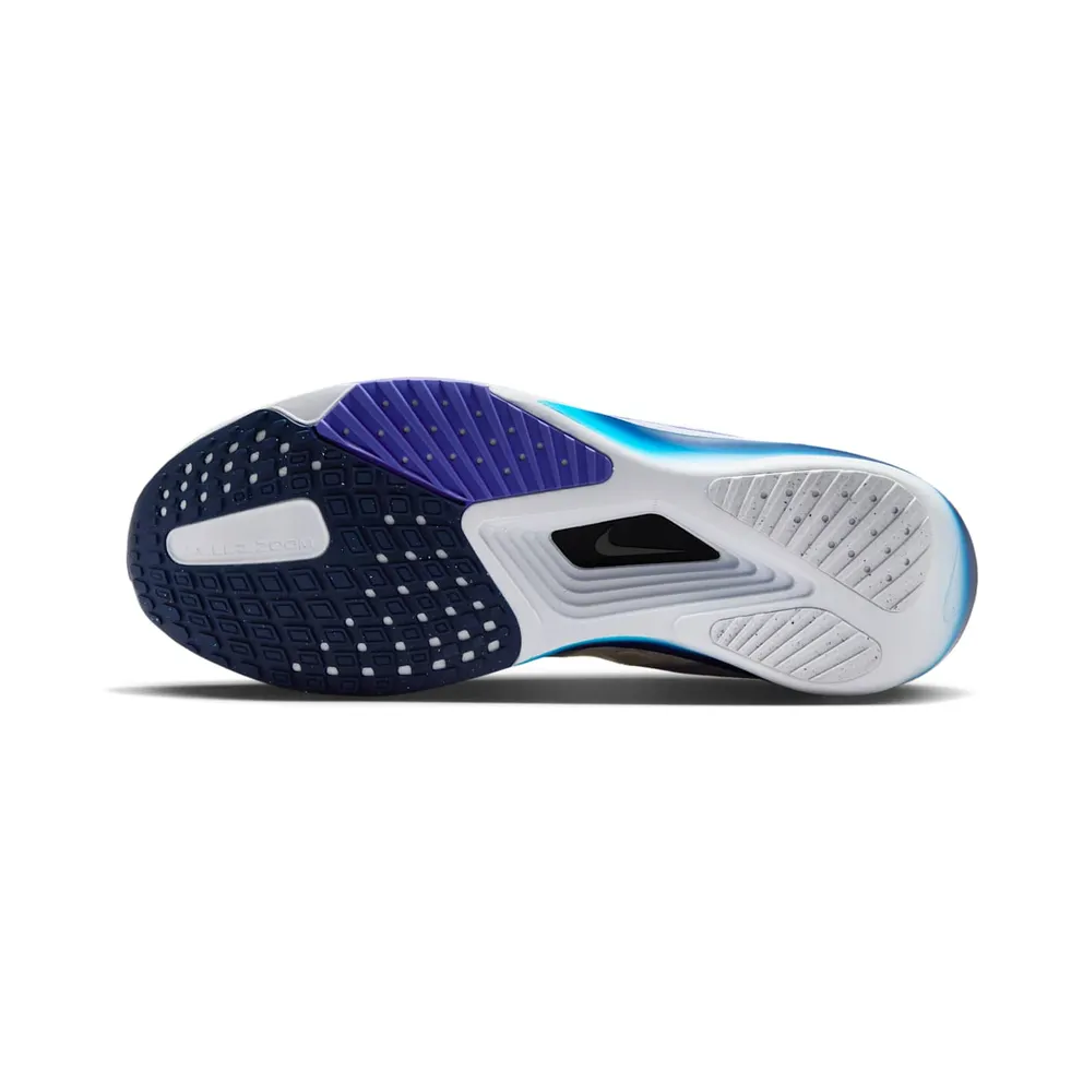 Nike Rival Fly 4 Ghost Persian Violet Baltic Blue Void (FV6040-002)