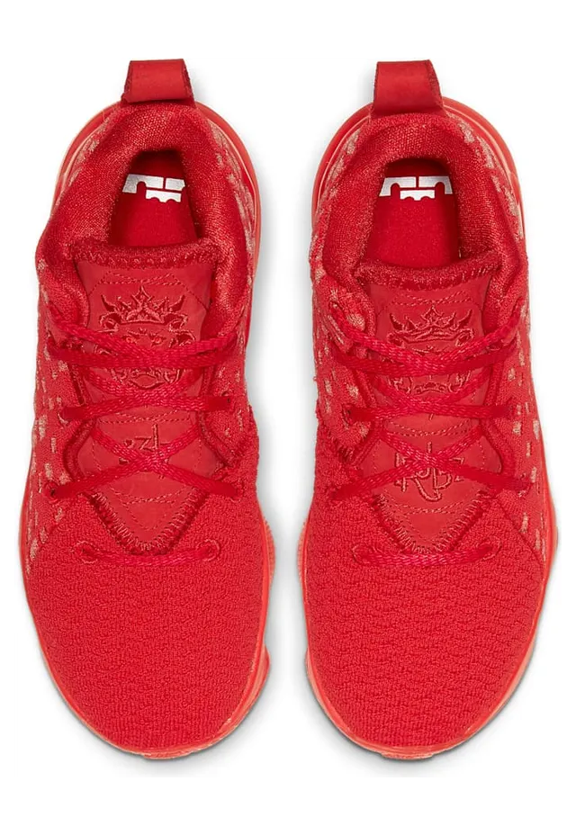 nike-lebron-17 BQ5595-600