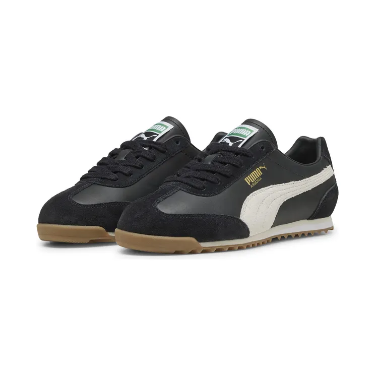 puma-arizona 402353_01