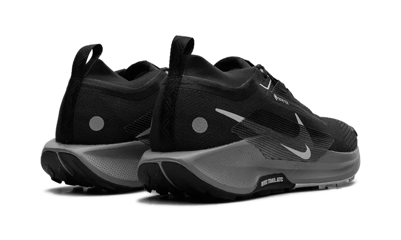 Nike Pegasus Trail 5 “Gore Tex Black” (FQ0908-001)