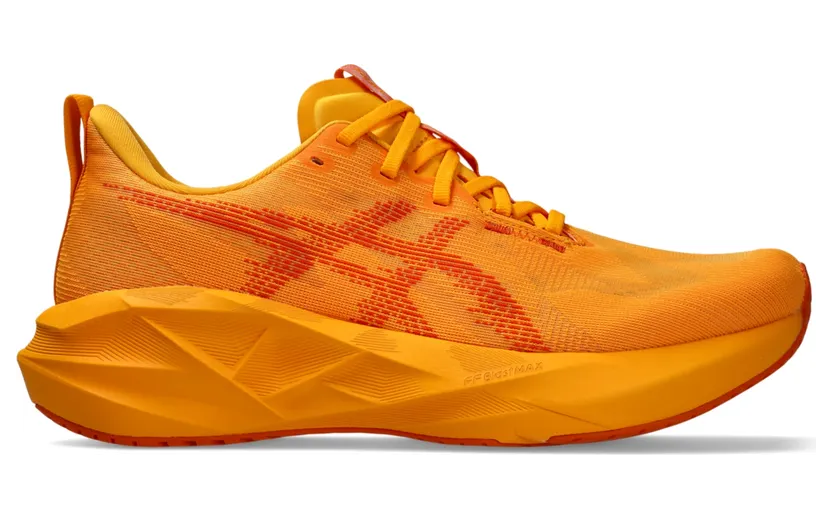 asics-novablast 1011B974-800