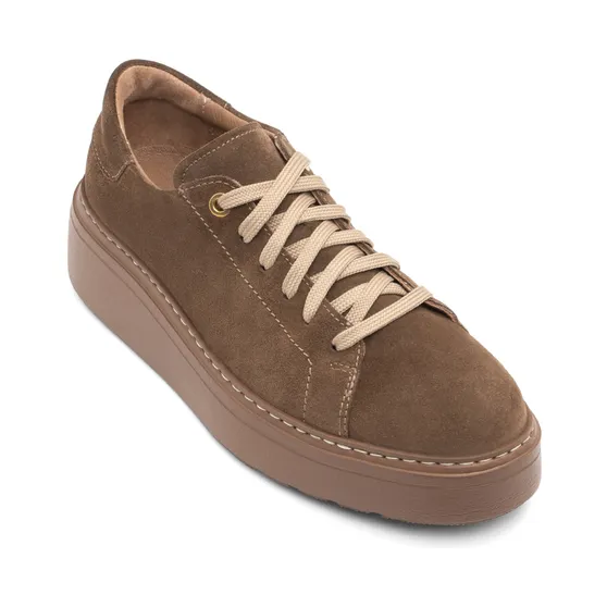 Ryłko Brown (2CR041TK)