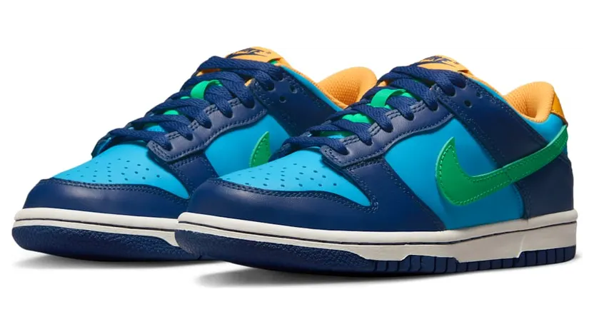 nike-dunk DV1693-401
