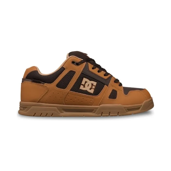 DC Stag Wnt “Multi” (DC02399235)