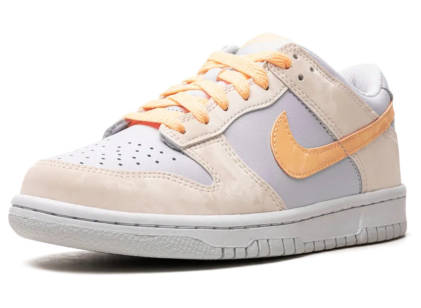 nike-dunk FB9109-100
