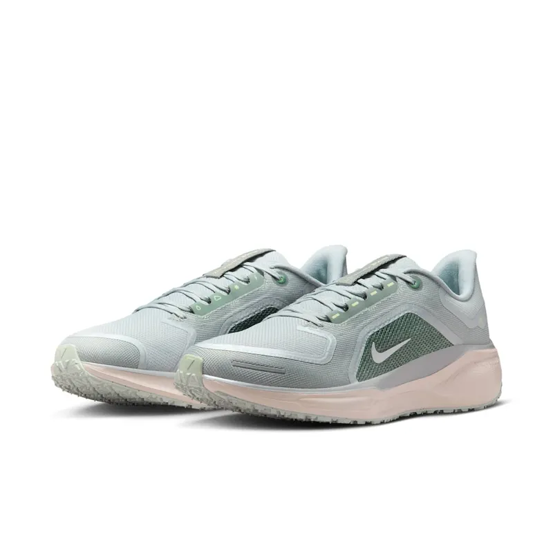 Nike Air Zoom Pegasus 41 Gore-Tex Light Pumice Metallic Silver (FQ1356-007)