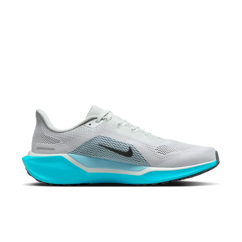 Nike Air Zoom Pegasus 41 Light Silver Denim Turquoise Dusty Cactus Black (FD2722-012)