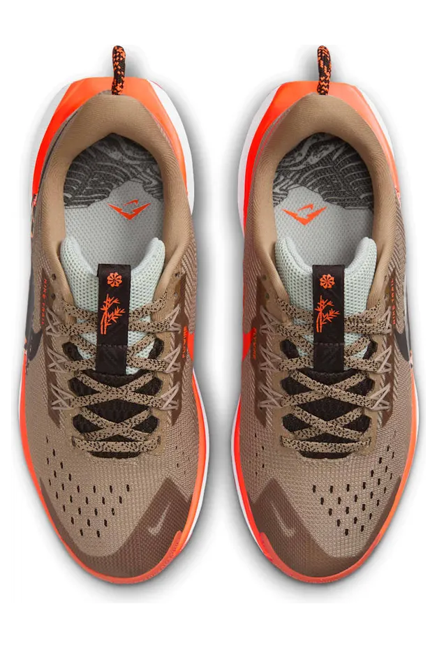 nike-air-pegasus FV5638-200