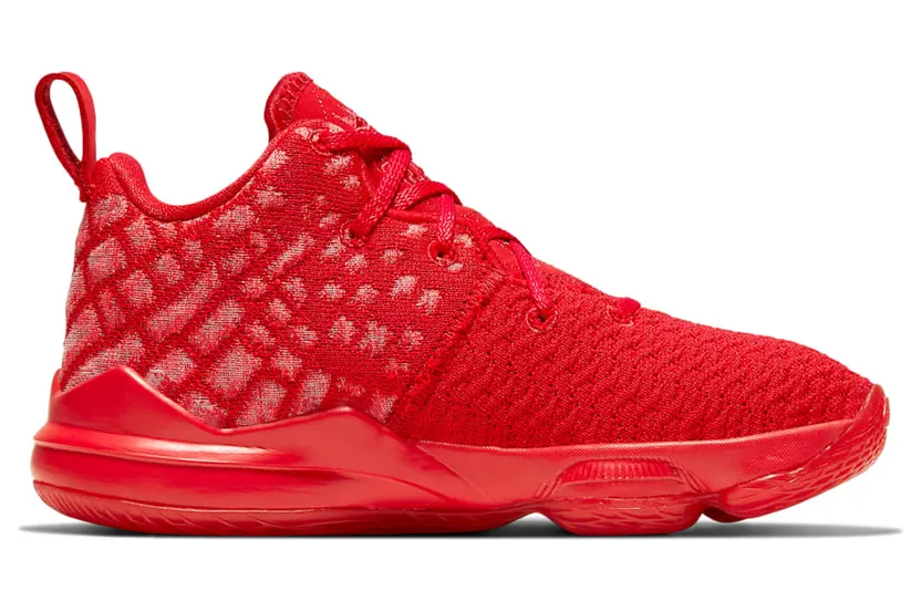 nike-lebron-17 BQ5595-600