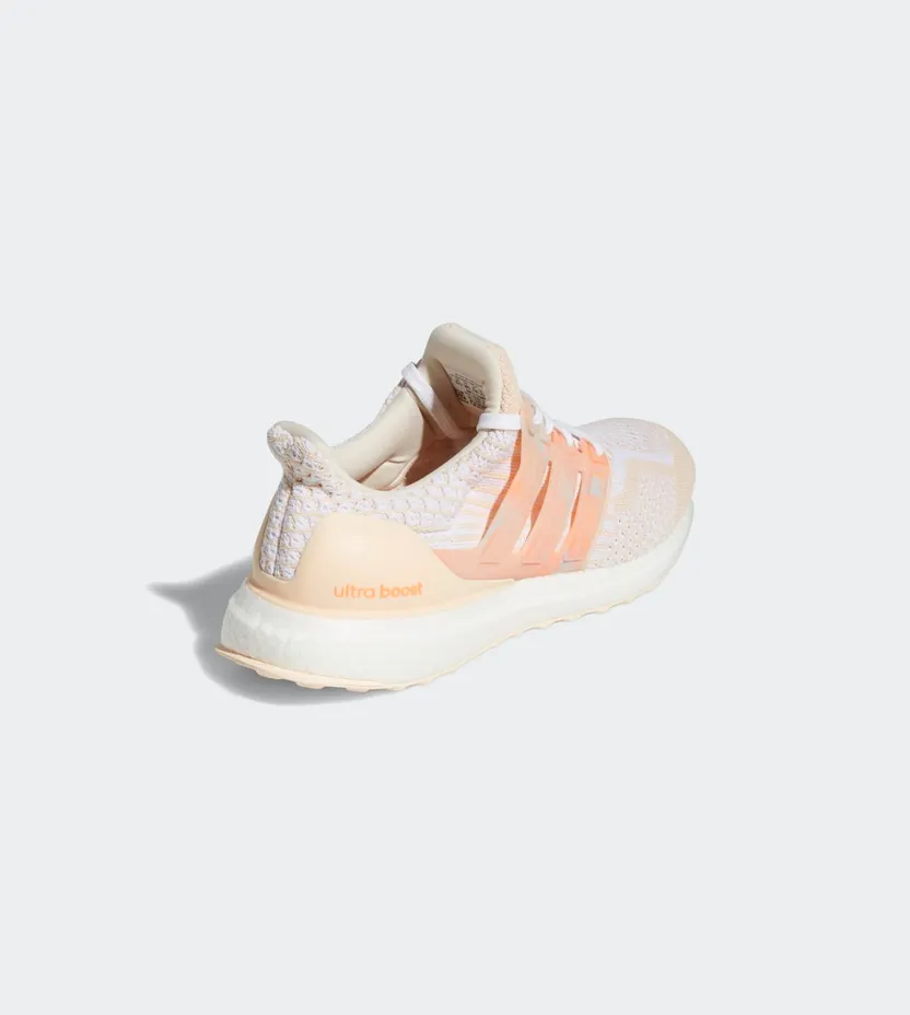 adidas-ultraboost GV8719
