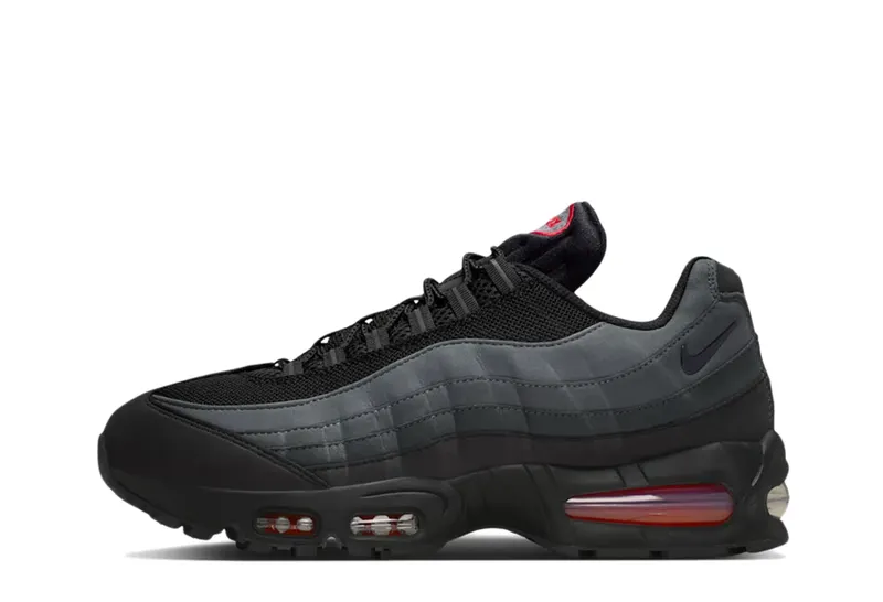 Nike Air Max 95 Black/Anthracite/Dark Smoke Grey/Black (IR0196-010)