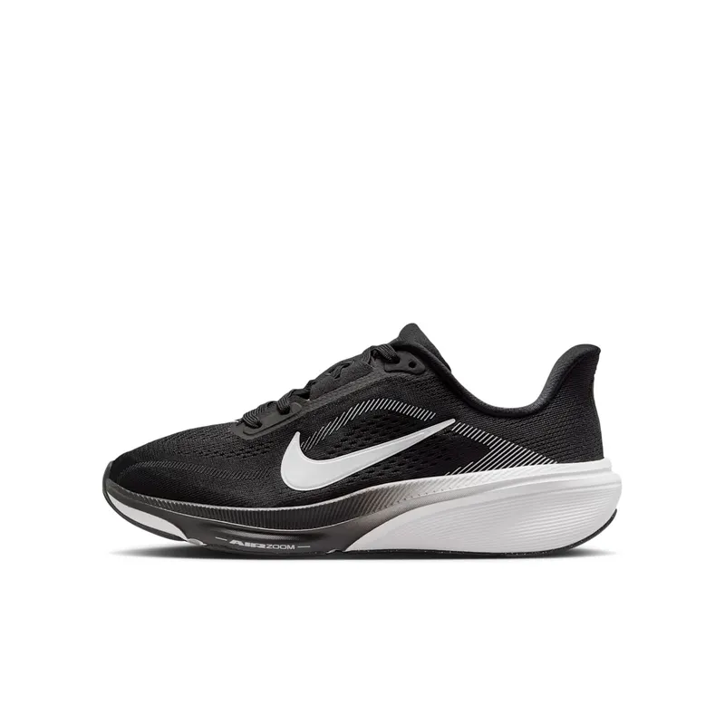 Nike Pegasus Black/Photon Dust/White (IH2306-002)