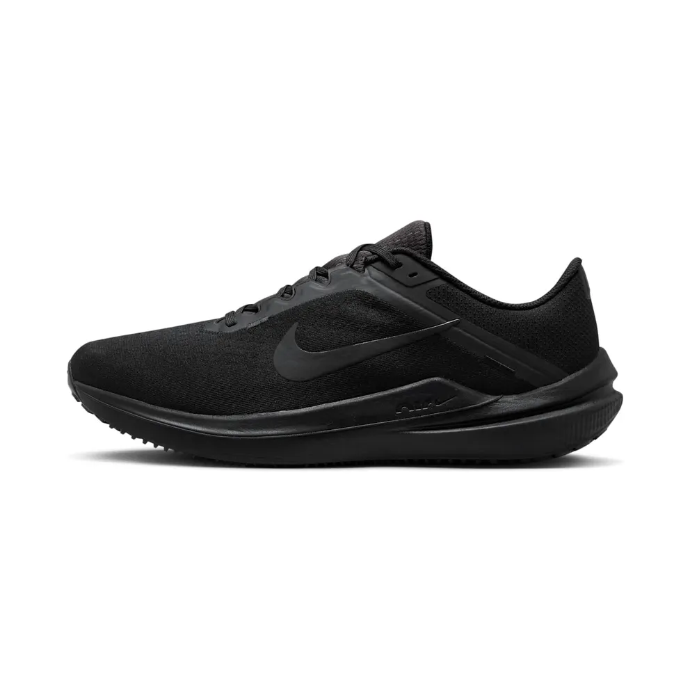 Nike Winflo 10 Black Anthracite (DV4022-001)