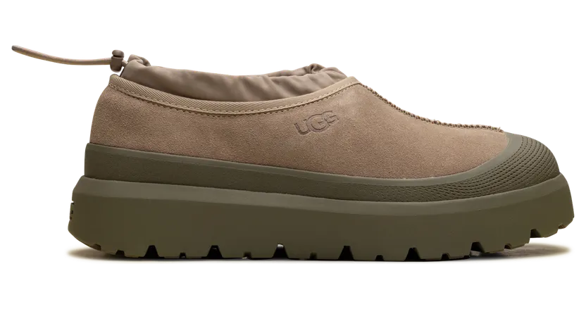 ugg-tasman 1144096-DNT