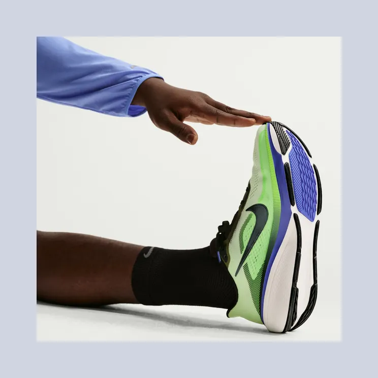 nike-air-pegasus IB1873-702