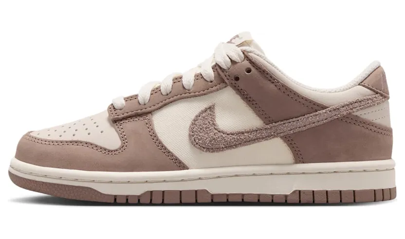 nike-dunk IB5721-100