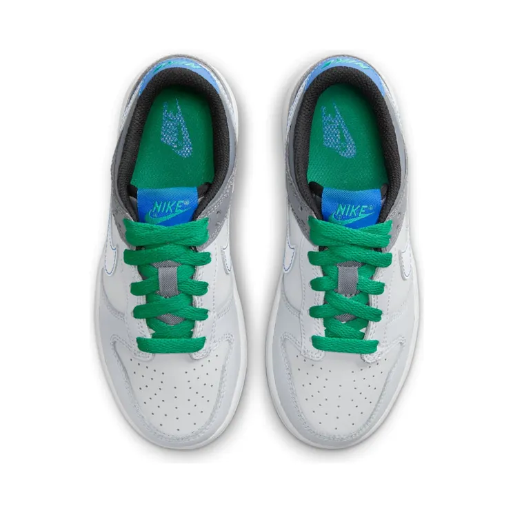 nike-dunk DH9756-004