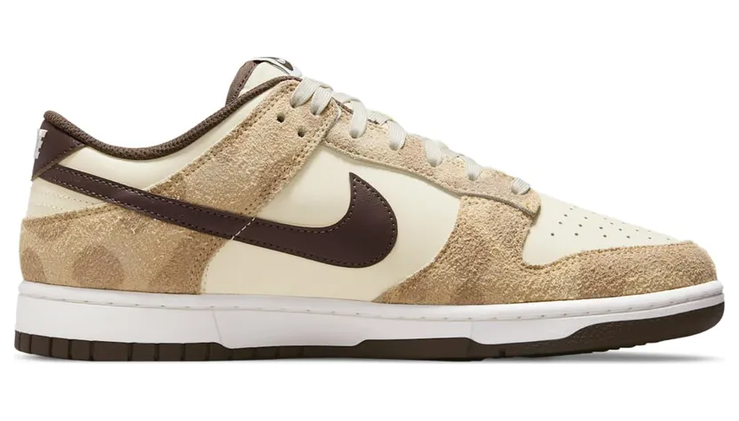 nike-dunk DH7913-200