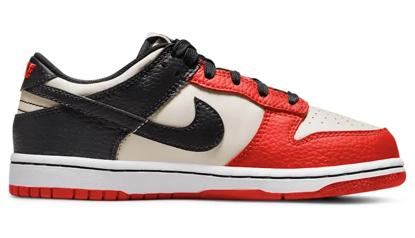 nike-dunk DC9564-100