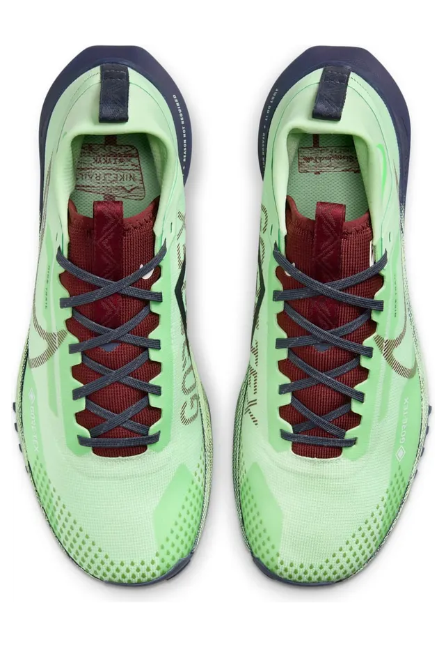 nike-air-pegasus DJ7926-303
