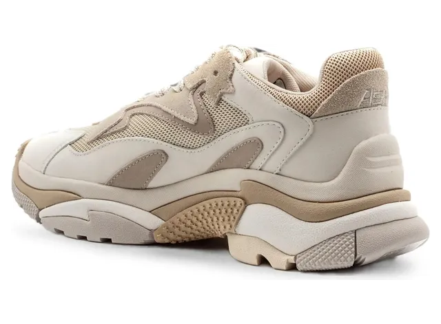 ash-sneaker ADDICT01  TALVA