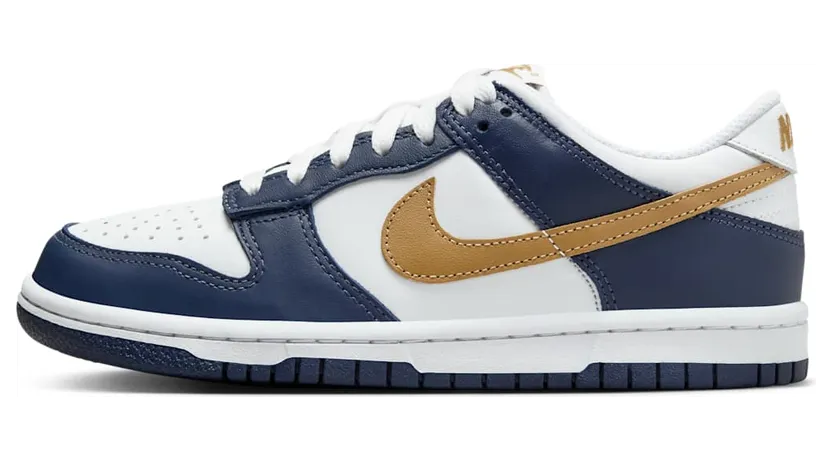 Nike Dunk Low FB9109-111