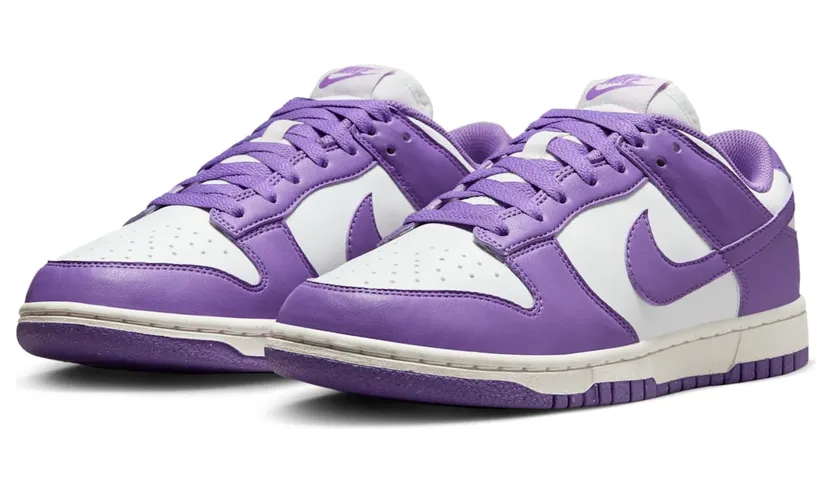 nike-dunk DD1873-108