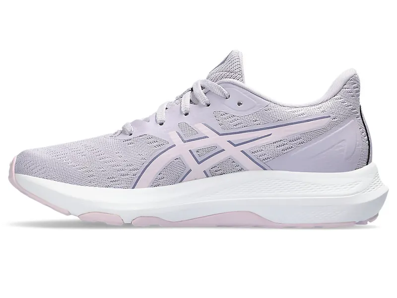 Asics Gt-2000 12 Gs Faded Ash Rock/Cosmos (1014A330.500)