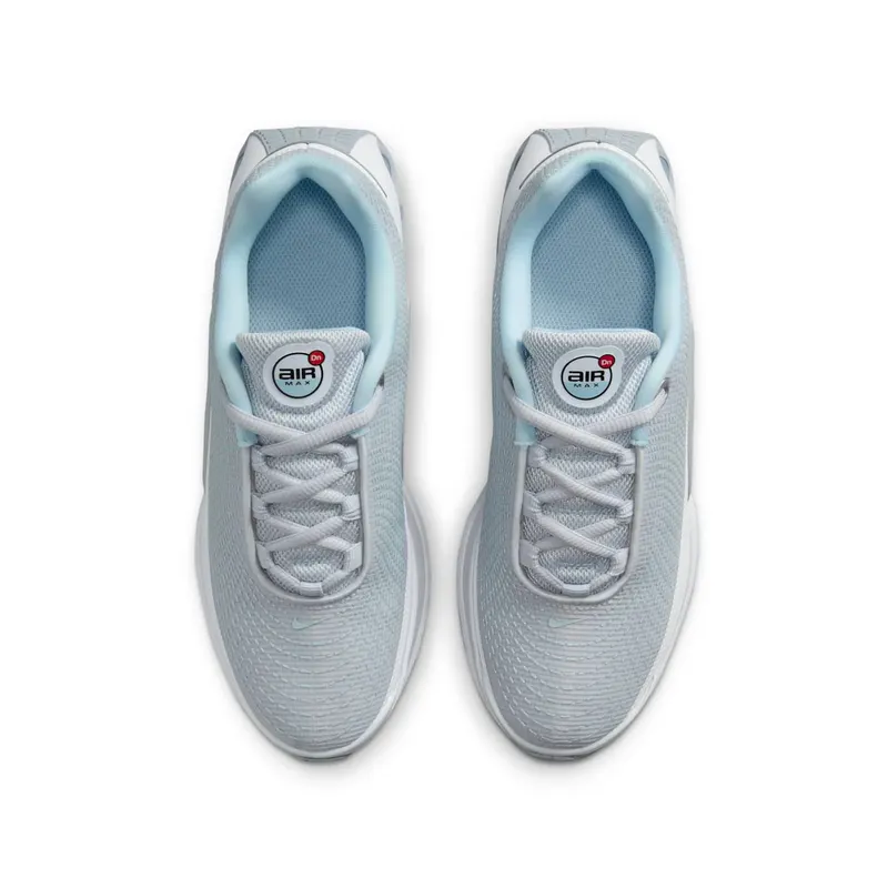 Nike Air Max Dn GS “Silver Glitter” (HQ3256-043)