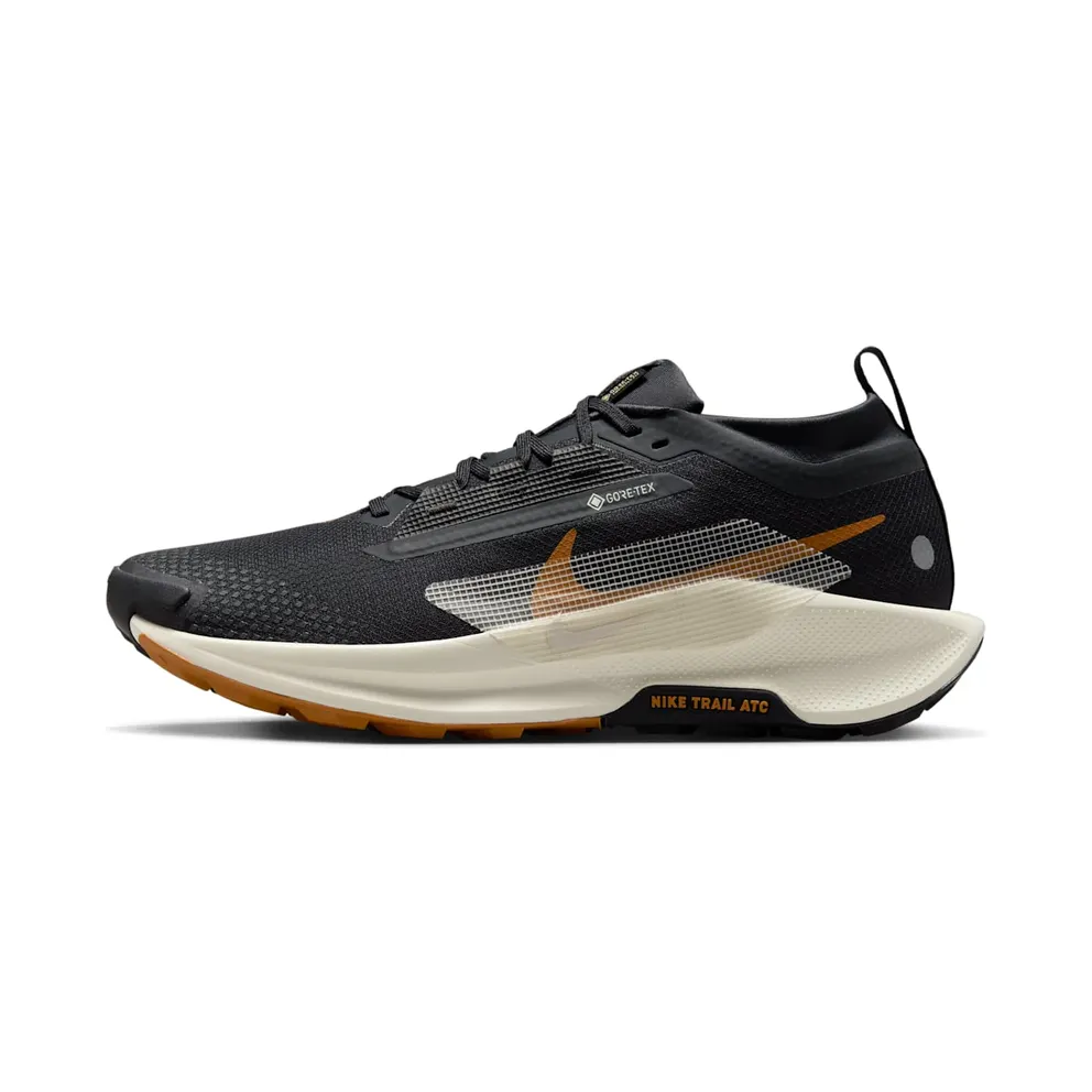Nike Pegasus Trail 5 Gore-Tex Off Noir Black Monarch Pale Ivory (FQ0908-007)