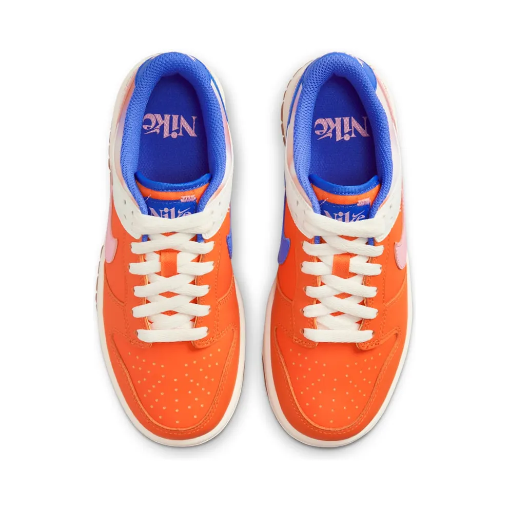 Nike Dunk Low GS “Everything You Need” (FN0600-801)