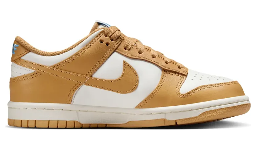 nike-dunk FB9109-700