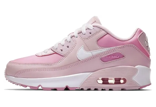 Nike Air Max 90 Roze (CV9648-600)